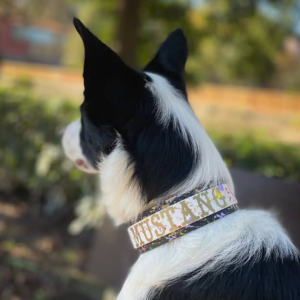Collar Personalizado